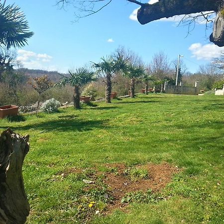 Villa Lara Karojba Oda fotoğraf