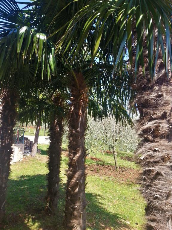 Villa Lara Karojba Oda fotoğraf