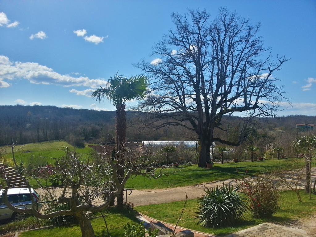 Villa Lara Karojba Oda fotoğraf