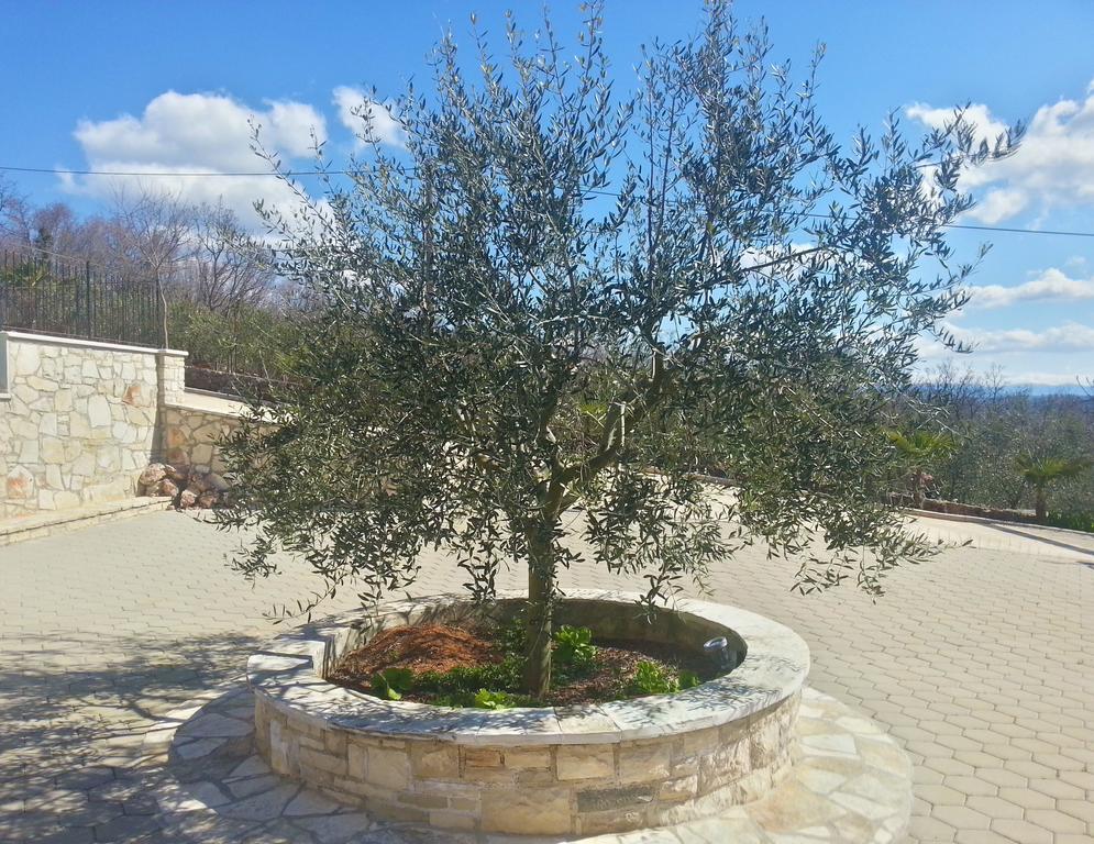Villa Lara Karojba Oda fotoğraf