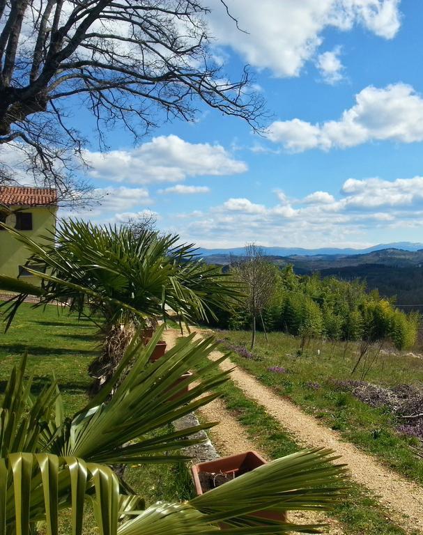 Villa Lara Karojba Oda fotoğraf