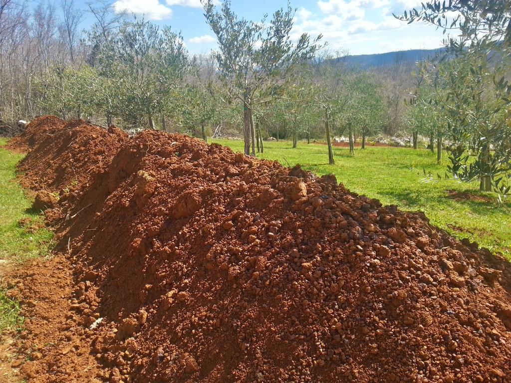 Villa Lara Karojba Oda fotoğraf